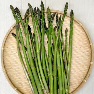 アスパラガス　農薬不使用（無農薬）自然状態栽培