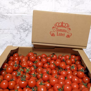 『ニーゴ25。』ミニトマト2.5キロ