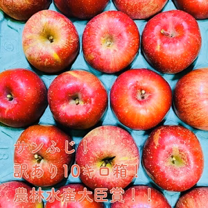 【サンふじ】訳アリ10キロ箱【超お買い得品】