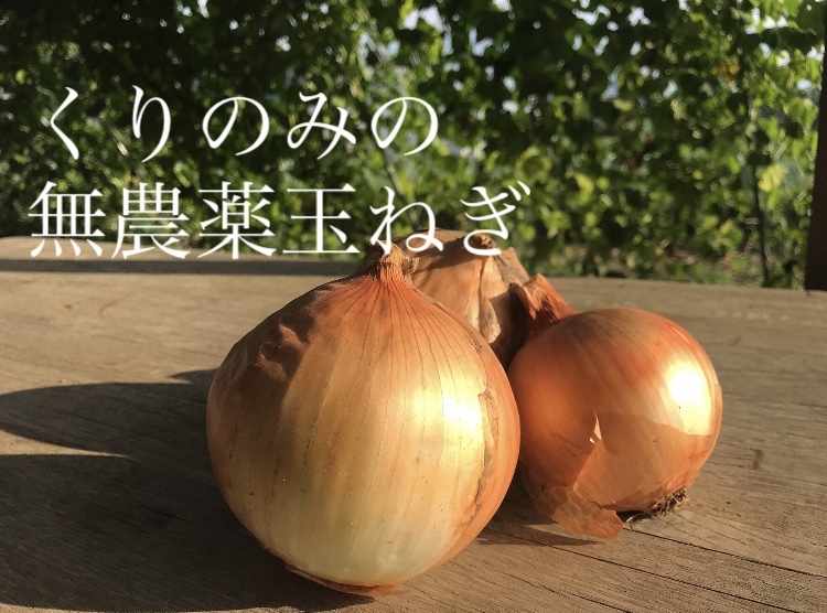 農薬化学肥料不使用】有機新玉ねぎ（4kg）｜玉ねぎの商品詳細