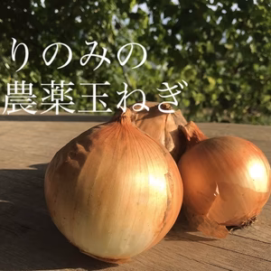 【農薬化学肥料不使用】有機新玉ねぎ（9ｋｇ）
