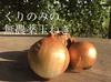 【農薬化学肥料不使用】有機新玉ねぎ（4ｋｇ）