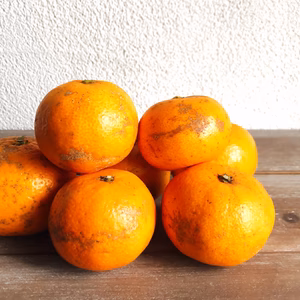 【化学農薬不使用】小豆島産訳あり早生みかん10kg 