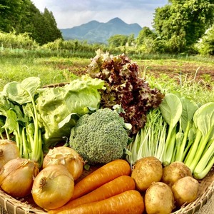 ★シャキうま！有機空心菜入り野菜セット★（有機、農薬不使用）「S・M・L」