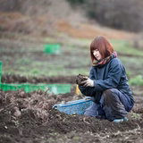 遠藤 周 | こんにゃく工房迦しょう