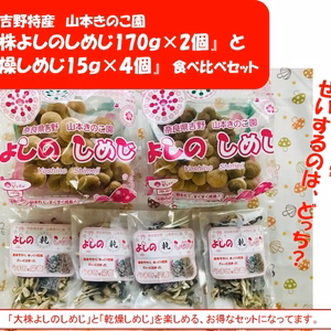 お試し！『大株よしのしめじ170ｇ×2個』と『乾燥しめじ15ｇ×4個』おまけ付