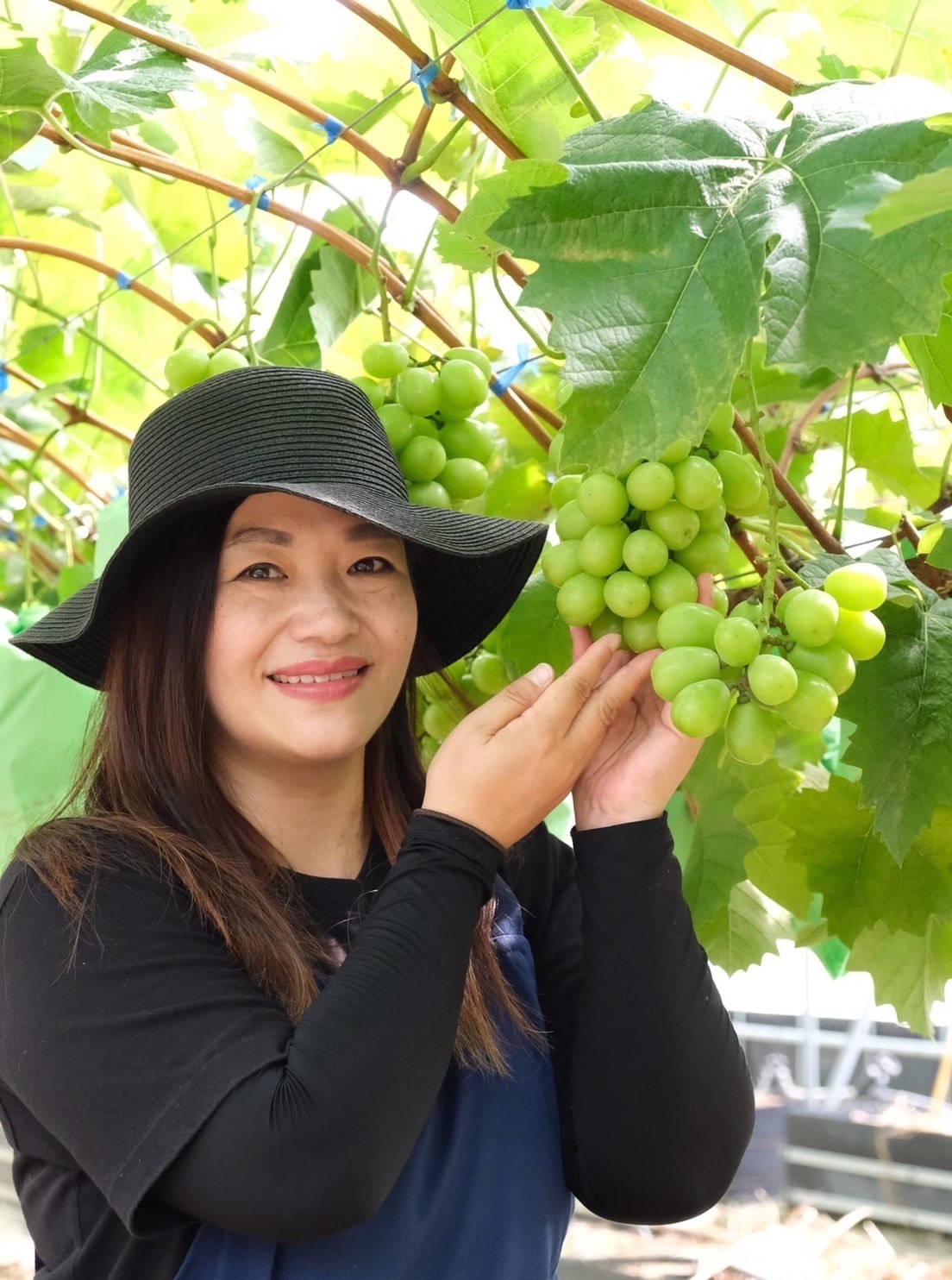 果物の産直通販・お取り寄せ商品｜ポケットマルシェ｜産地直送で旬の