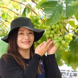 菊田浩美 | 菊田農園