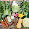 農園自慢の情熱野菜セット★7品＋11品のセット