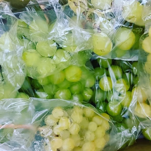 勝沼産朝獲り訳あり新鮮美味しいシャインマスカット！ご家庭用で最適です