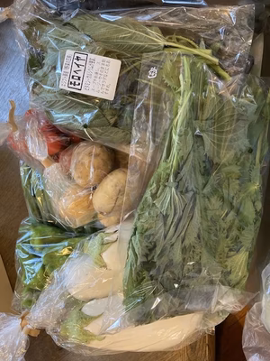 みんなの投稿の画像