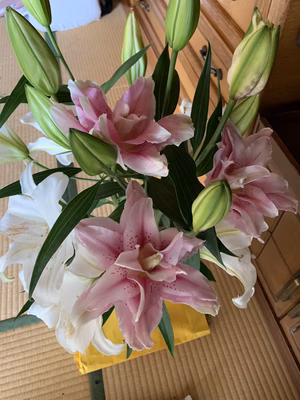 みんなの投稿の画像