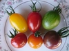 カラフル トマト１kg+ドライトマト25g　農家自家製　トマトの詰め合わせセット