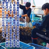 天然 越前産 もみもみわかめ 50g 6本