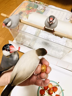 みんなの投稿の画像