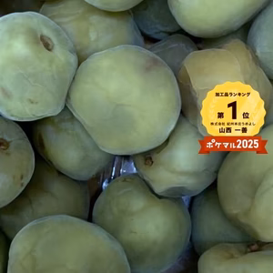 訳あり無選別国産梅酒梅