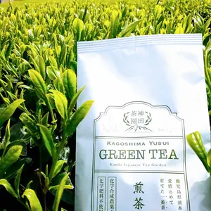 鹿児島茶 有機栽培茶 湧水煎茶