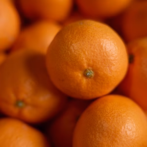 【今週限定・送料無料】まるたま農園 有田みかん 訳ありサイズ混合