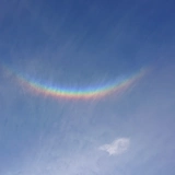 小春