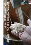 緑米【玄米】（手植え手除草天日干し自然栽培）