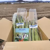 【収穫日に発送】新鮮アスパラガス 1kg【栽培期間中農薬・化学肥料不使用】