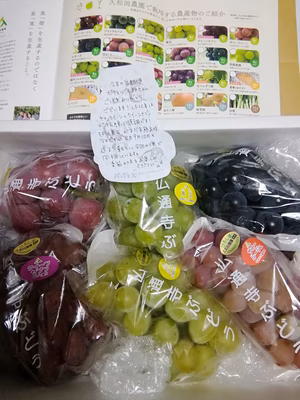 みんなの投稿の画像