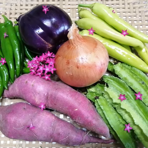 9月の少量お野菜セット　淡路島よりAwajicHorrorGarden