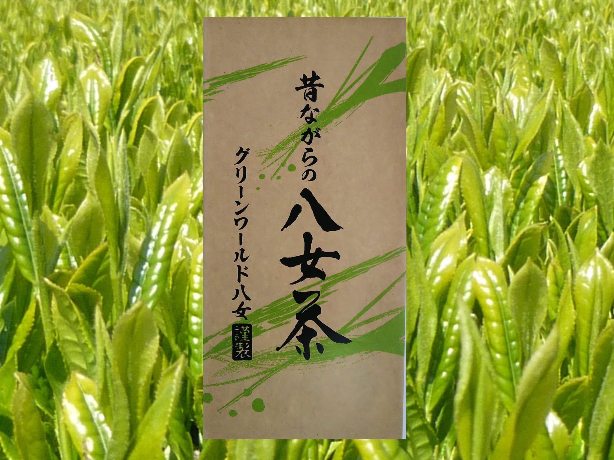 福岡県産 びわの葉 天日干し 農家直送 農薬不使用 100g - お香