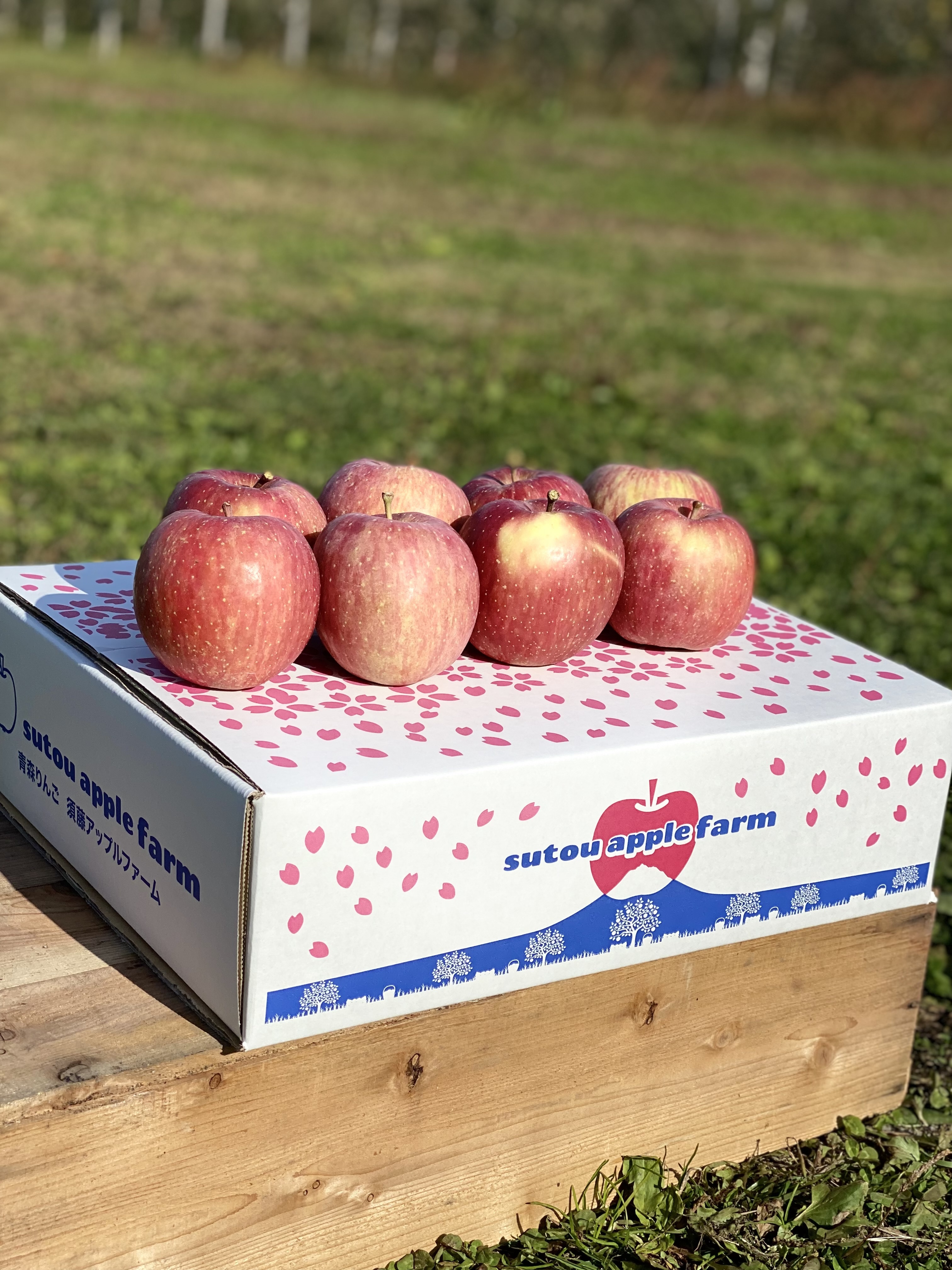 青森県産りんご 葉とらずさんフジ家庭用3キロ