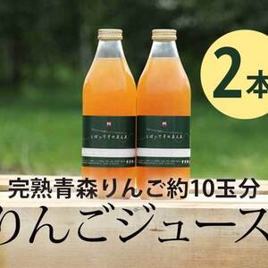 完熟青森りんご100%【しぼってそのまんま】濃厚りんごジュース（1L×2本入）