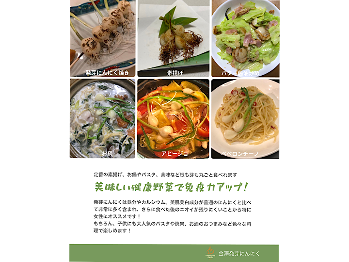 金沢産ブランドにんにく使用 金澤発芽にんにく 訳あり品オマケ 農家漁師から産地直送の通販 ポケットマルシェ