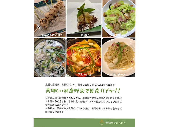 金沢産ブランドにんにく使用！金澤発芽にんにく！訳あり品オマケ
