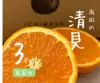 清見　3キロ　家庭用