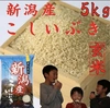 [新米]   新潟県産　こしいぶき5kg(玄米)    　令和5年産