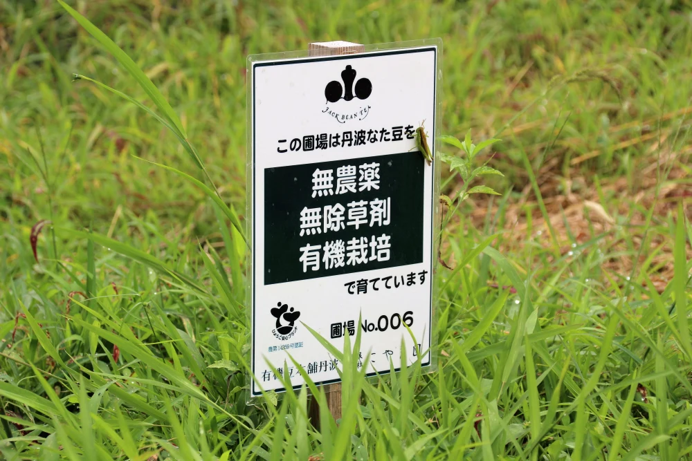 香ばし～い、実感◎健康茶　丹波なた豆茶 