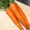 【先行予約早割販売 最終回】自然栽培の雪下にんじん