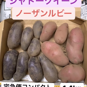 東京産！新鮮2色じゃがいもセット