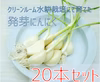 【岐阜県栽培】 発芽にんにく　20本セット