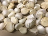 青森県産ホワイト6片にんにく  訳あり品 令和5年度産 バラ 500g～