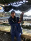 日本一の愛媛の宇和島の鯛(ハネ)