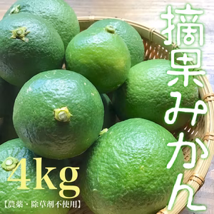 【農薬・化学肥料 不使用】摘果の柑橘セット 4kg オマケ付き