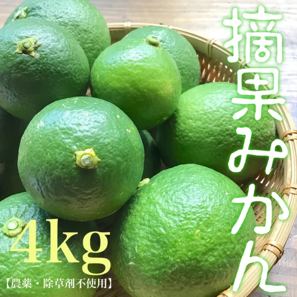 【農薬・化学肥料 不使用】摘果の柑橘セット 4kg オマケ付き