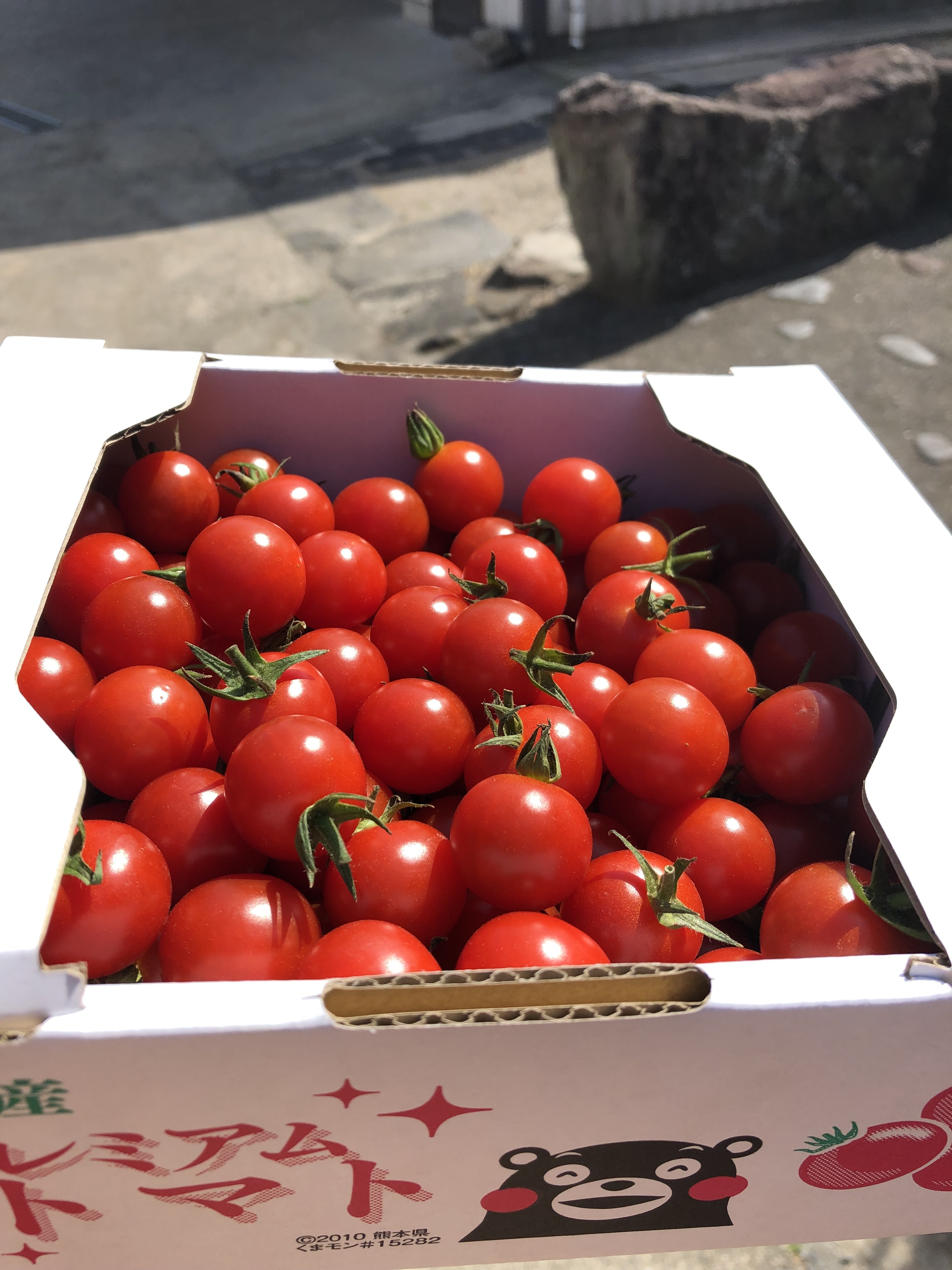 農薬不使用 信州高原野菜 60サイズ 新鮮 野菜詰め合わせ 長野県 通販