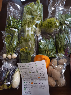 みんなの投稿の画像