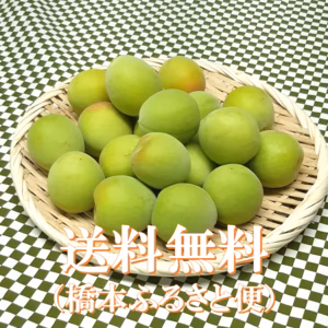 ※お買い得【最終】採りたて南高梅　３L以上サイズ(梅酒など)谷奥深産