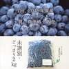 【ちょっとわけあり】冷凍ブルーベリー（未選別）