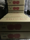 ラスト2箱 サンふじりんご　小玉果のみ　3キロ箱