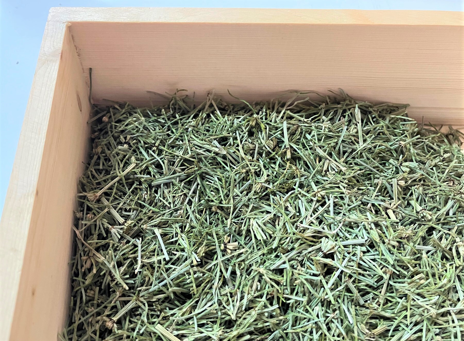 天然スギナ茶 15g入（1.5g×10包） × 2袋｜その他のお茶の商品詳細 