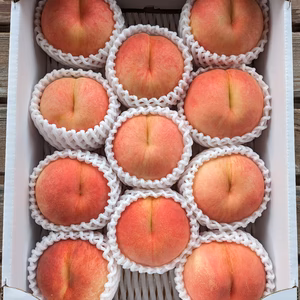 【収穫後即発送】山形県産 桃 (あぶくま) 1箱(約3kg)7玉～12玉入り