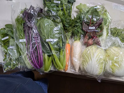 みんなの投稿の画像